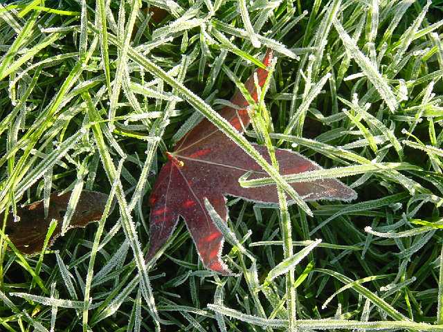 Picture 025.jpg